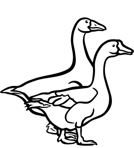 Two Geese Coloring Page